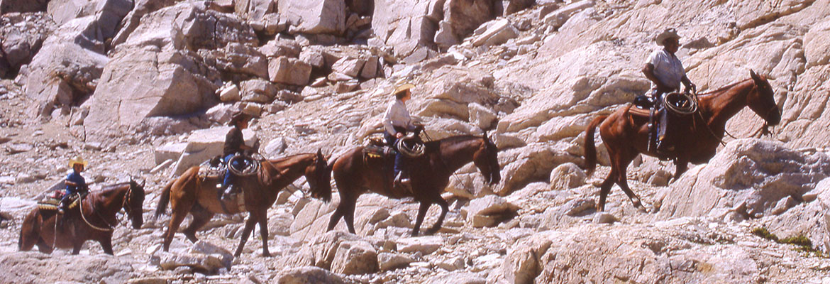 on the whitney trail